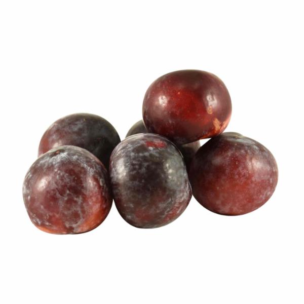 SUSINE ANGELENO PIEMONTE