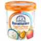 Sammontana Barattolino Classico Yogurt e Mango 500 g