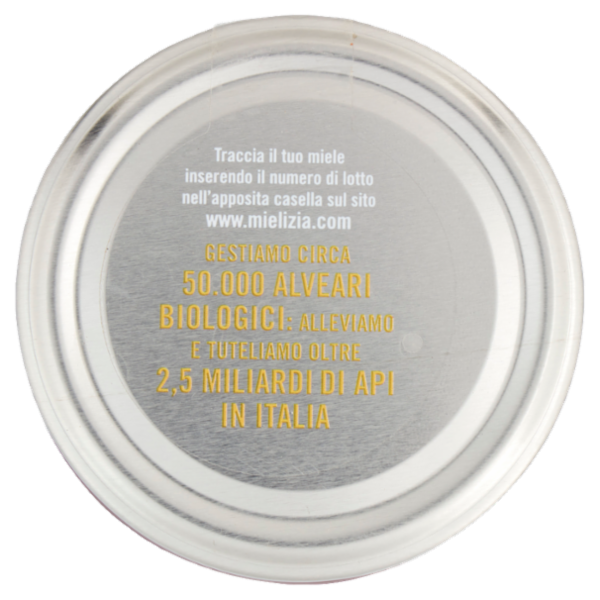 Mielizia Bio Miele Italiano di Bosco non Pastorizzato Lazio e Toscana 300 g