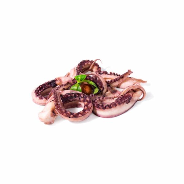 Tentacoli Totano Giganti Decongelati