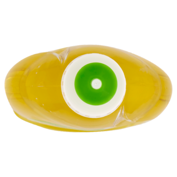 Winni's Naturel Piatti Concentrato Bergamotto e Zenzero 480 ml