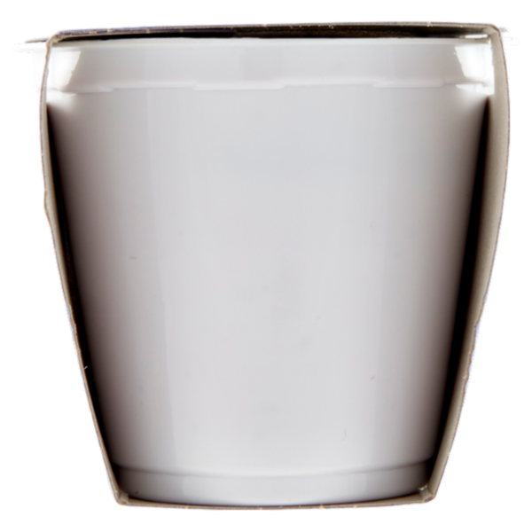 Consilia Yogurt Intero Mirtillo Nero con Frutta in Pezzi 2x125 g