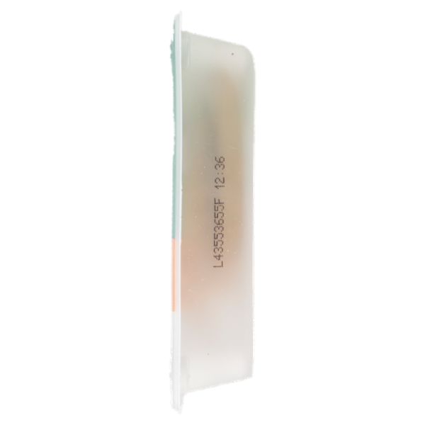 GARDEN GOURMET Le Fettine Vegetariane di Soia e Frumento 2 pezzi 150g