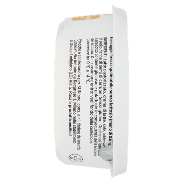 Consilia Formaggio Fresco Spalmabile Senza Lattosio 175 g