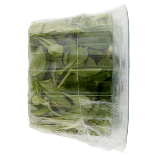 Sù Valerianella Lavata e Pronta per il Consumo in Vaschetta 400 g