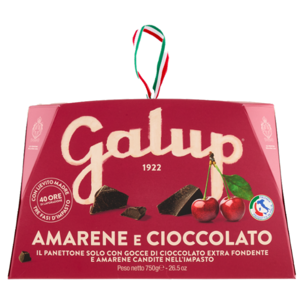 Galup Amarene e Cioccolato 750 g