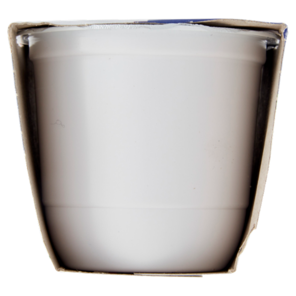 Centrale del Latte di Roma Fragola Yogurt Intero 2 x 125 g