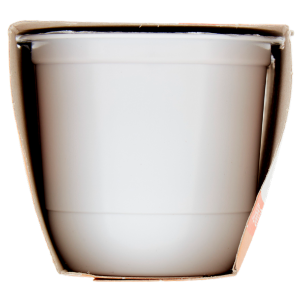 ZYMIL Alta Digeribilità Senza Lattosio Yogurt al Caffè 2 x 125 g