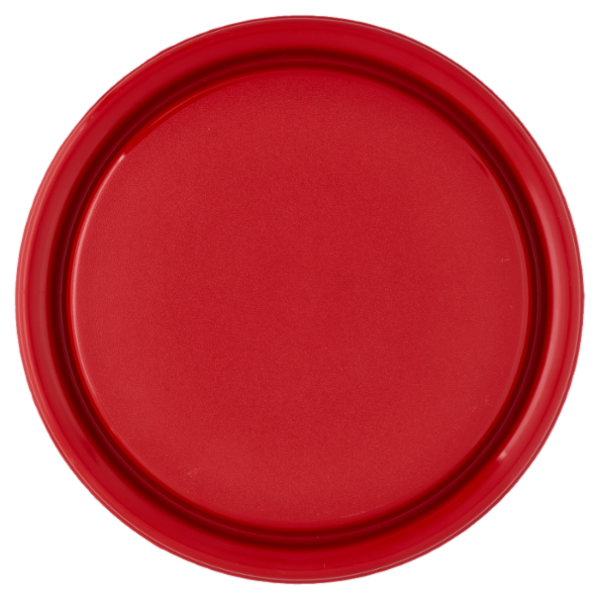 Selex Contenitore per Alimenti Freezer/Frigo Tondo 2,50 L