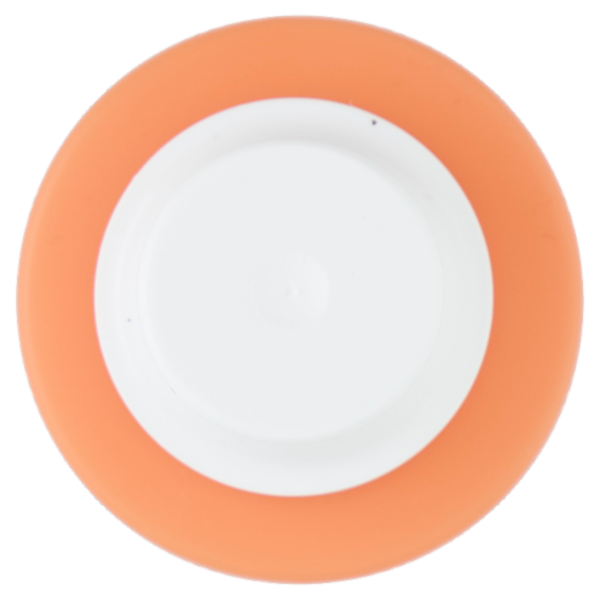 Alama Professional Anti Frizz Frizz Control Anti-Crespo e Anti-Umidità 150 ml