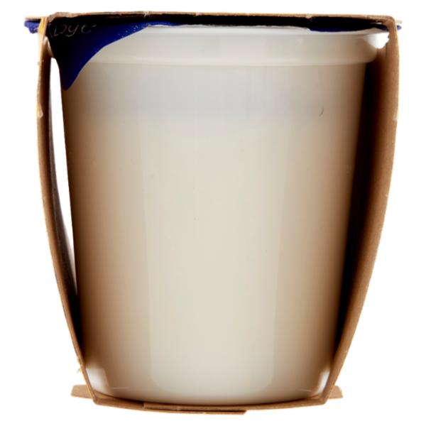 Centrale del latte Vicenza Yogurt Intero Vaniglia 2 x 125 g