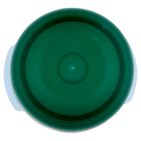 Borotalco Fresh Profumo di Talco Fresco Deo Roll On 50 ml