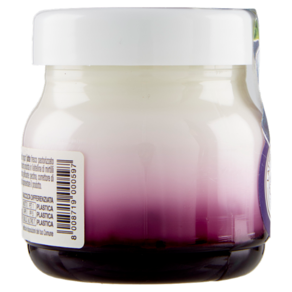 AlpiYò Yogurt di Valtellina Intero con confettura extra di Mirtillo 125 g