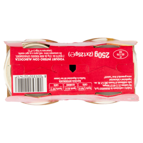 Yomo Intero Albicocca 2 x 125 g