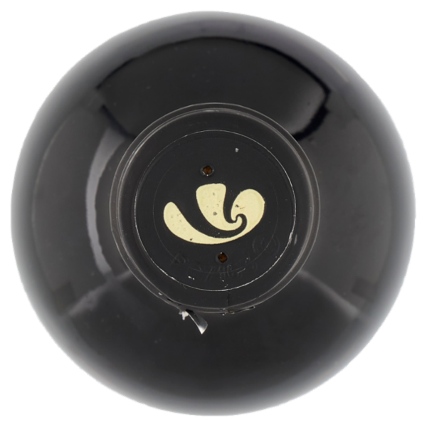 Cantina Valtidone Viti & Vini il Duca Colli Piacentini DOC Novello 0,75 l