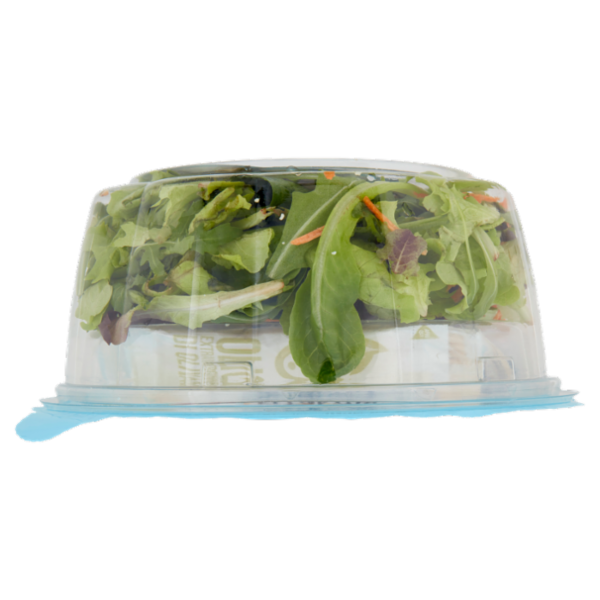 DimmidiSì Piatto unico Grana Padano e Olive con crostini 120 g