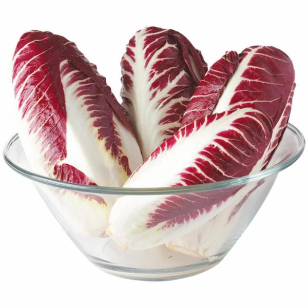 INSALATA RADICCHIO LUNGO