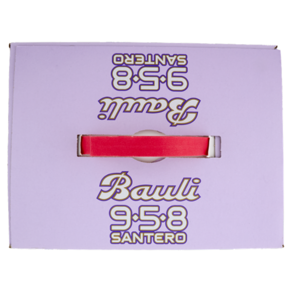 Bauli 958 Santero Panettone Bauli 700 g + 958 Santero Millesimato 75 cl