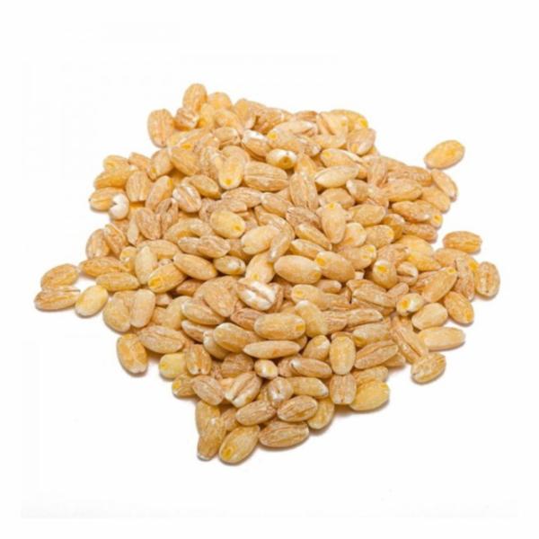 Farro Perlato
