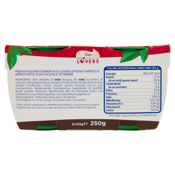 Soia Lovers Mirtillo 2 x 125 g