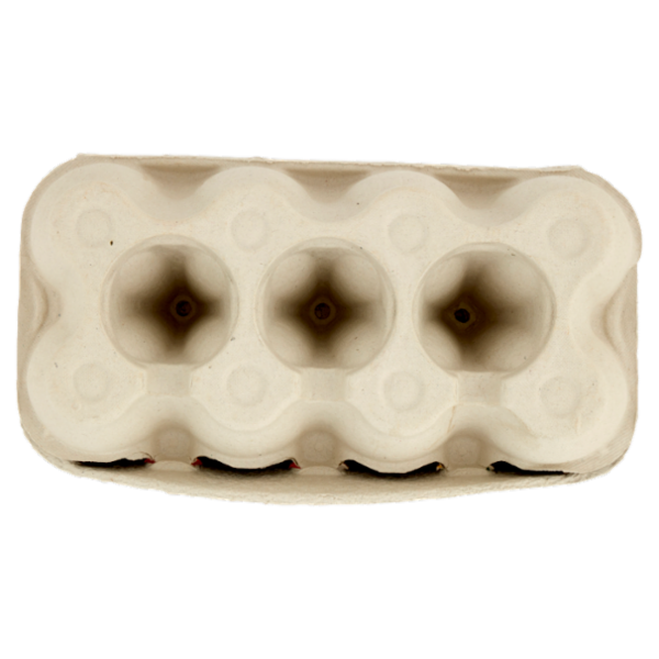 le Naturelle da Allevamento a Terra 8 Uova Fresche 400 g