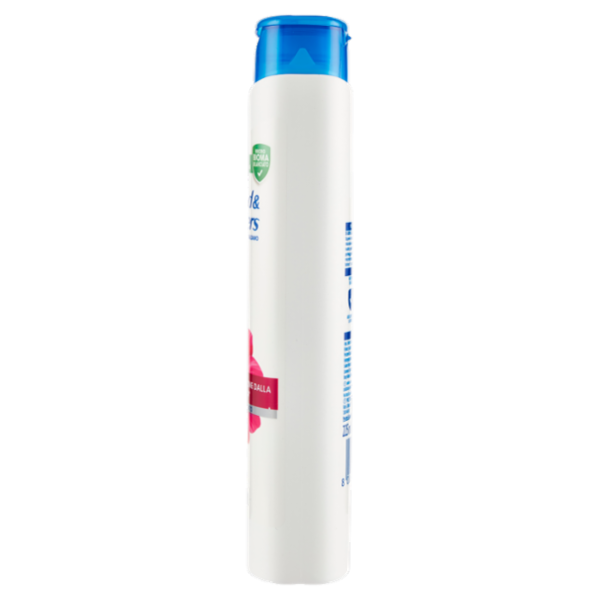 Head & Shoulders Antiforfora Shampoo + Balsamo 2in1 Lisci & Setosi 225 ml