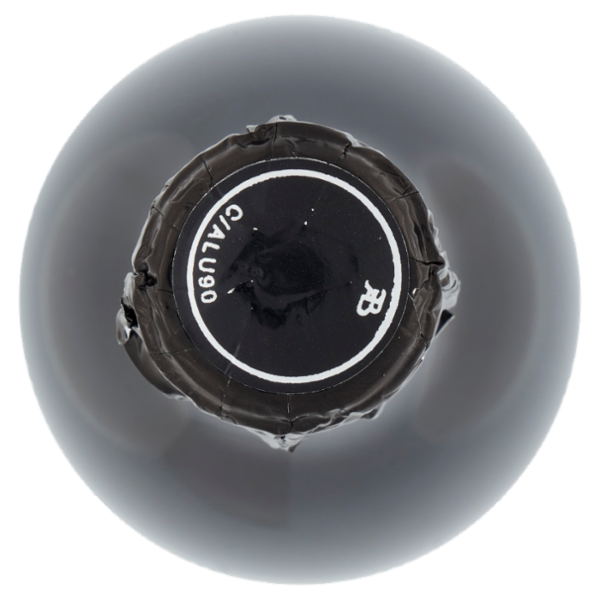 Fondo Belverde Bio Lambrusco Grasparossa di Castelvetro DOC 75 cl