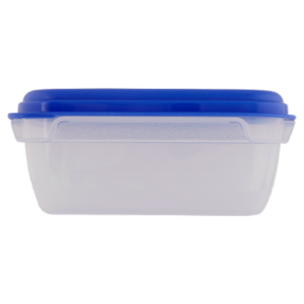 Consilia Saper Scegliere Contenitore Quadrato con Valvola Fresh Wave 1,75 l