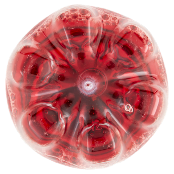 Consilia Ginger Zero Zuccheri 1 L