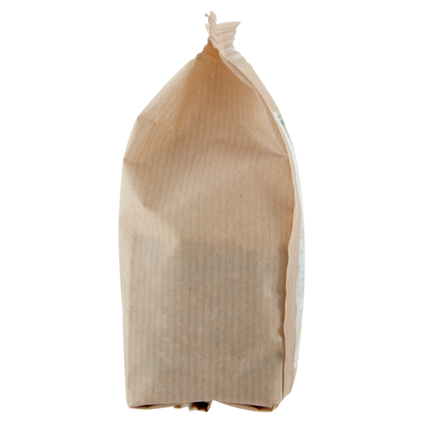 Selex Mix Fantasia di Semi Tostati di Lino, Girasole, Zucca e Sesamo Biologici 175 g