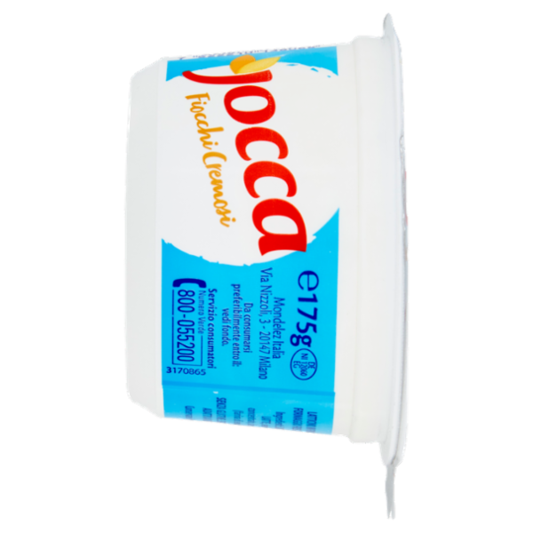 Jocca fiocchi di latte a base di formaggio fresco magro - 175 g