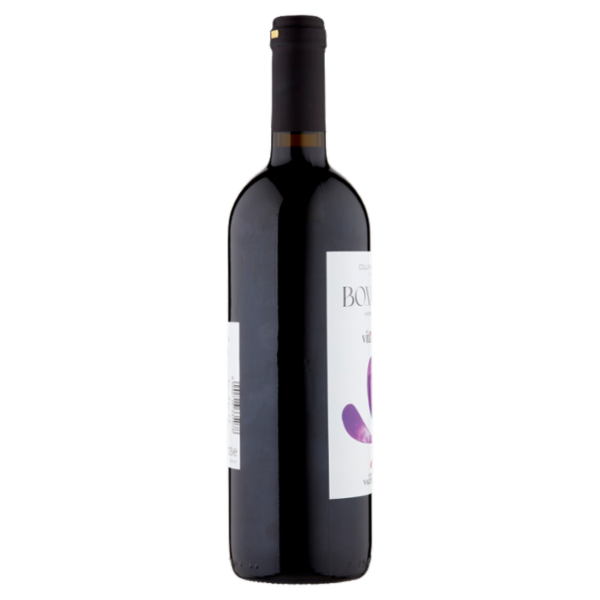 Cantina Valtidone viti&vini Colli Piacentini D.O.C. Bonarda Vino Frizzante 0,75 l