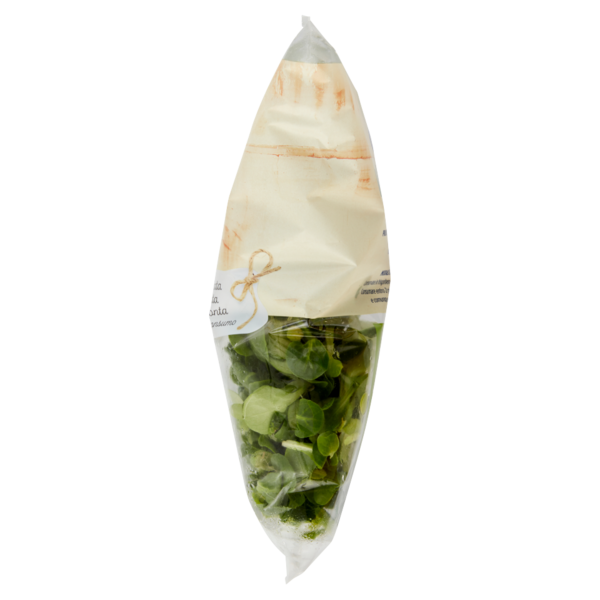 IL GIGANTE le Insalate Valeriana 100 g