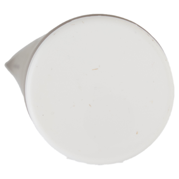 Alama Professional Repair Conditioner Ristrutturante 300 ml