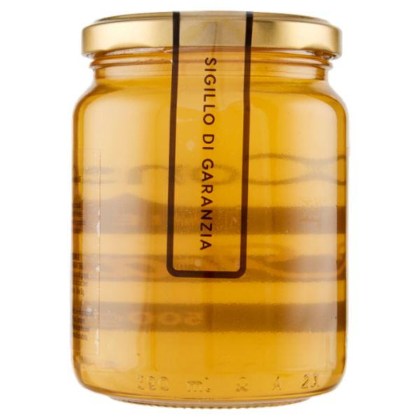Consilia Miele di Acacia 500 g