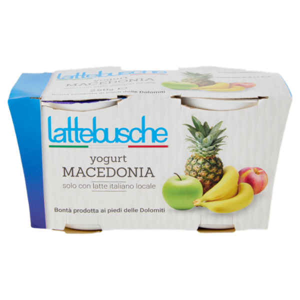 lattebusche yogurt Macedonia 2 x 125 g