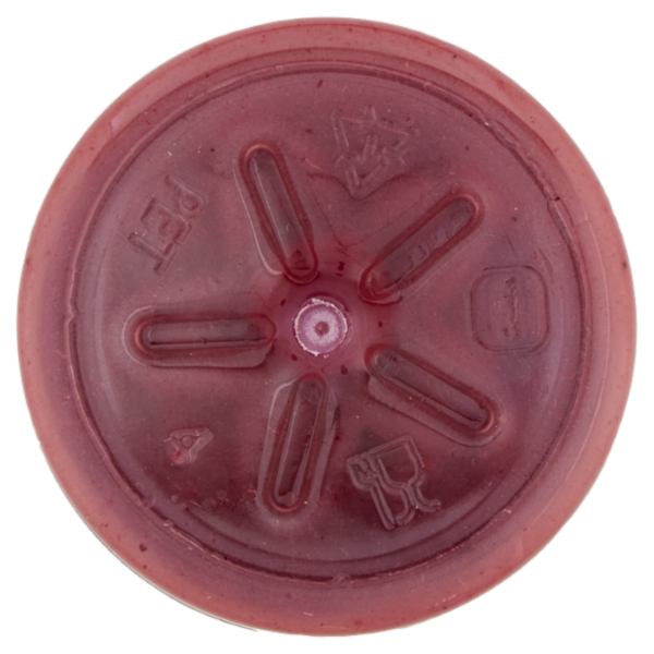 DimmidiSì Frullato fresco Frutti di Bosco 250 ml