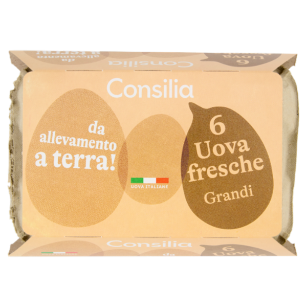 Consilia 6 Uova Fresche Grandi da Allevamento a Terra