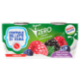 Centrale del Latte di Roma Zero Grassi Frutti di Bosco Yogurt Magro con frutta in pezzi 2 x 125 g