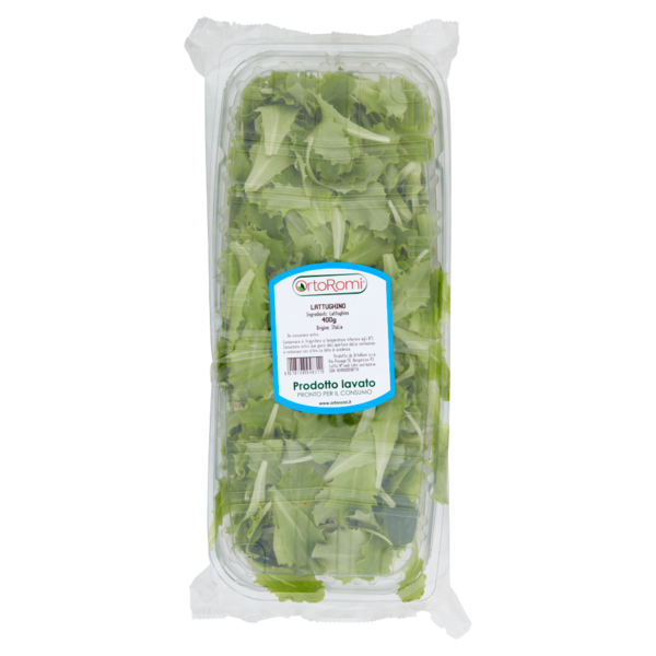 OrtoRomi Lattughino 400 g