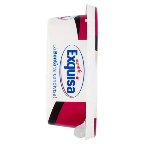 Exquisa il Fresco Cremoso Fitline Highpro 175 g