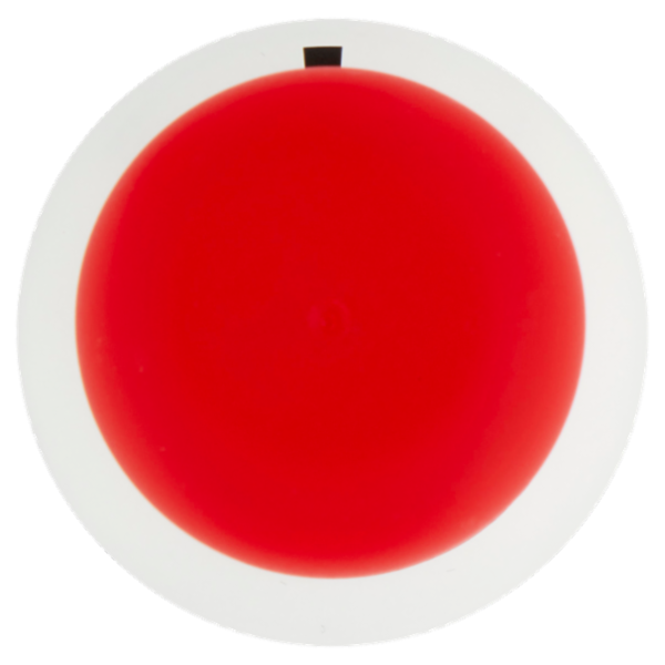 Borotalco Intensivo Profumo di Borotalco Deo Spray 150 ml