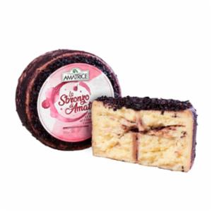 Formaggio Pecorino Stagionato Affinato Al Vino Cesanese Nero