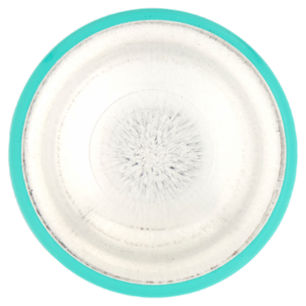 L'Oréal Paris Ritocco Perfetto Spray Istantaneo Ritocco Radici, i Castani Dorati, 75 ml