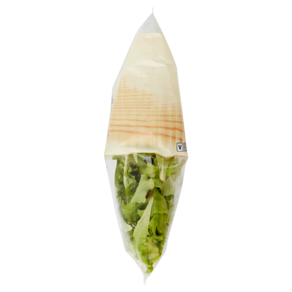 IL GIGANTE le Insalate Lattughino 100 g