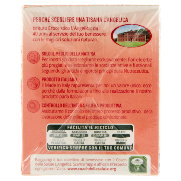 L'Angelica Mocktail Infusioni a Freddo Fragola & Mirtillo Cosmopolitan Infusion 18 Filtri 36 g