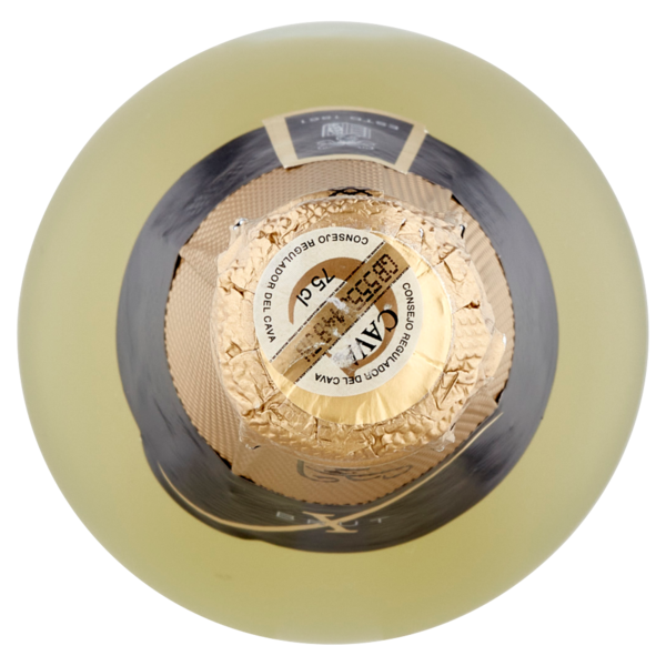 Freixenet Premium Cava Carta Nevada Brut 750 ml