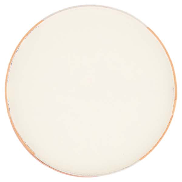 Sammontana Barattolino Delizioso Panna Cotta 500 g