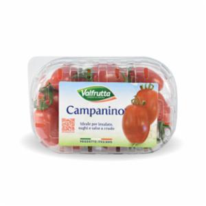 POMODORO CAMPANINO VALFRUTTA GR.300