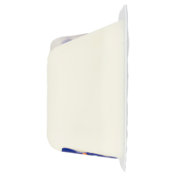 SMARTIES da Fruttolo alla vaniglia 120 g